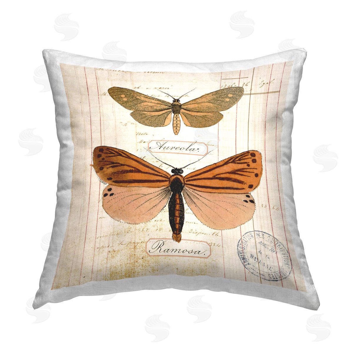 Susan Arnot Butterfly Latin Studies Printed Plush Polyester Throw Pillow