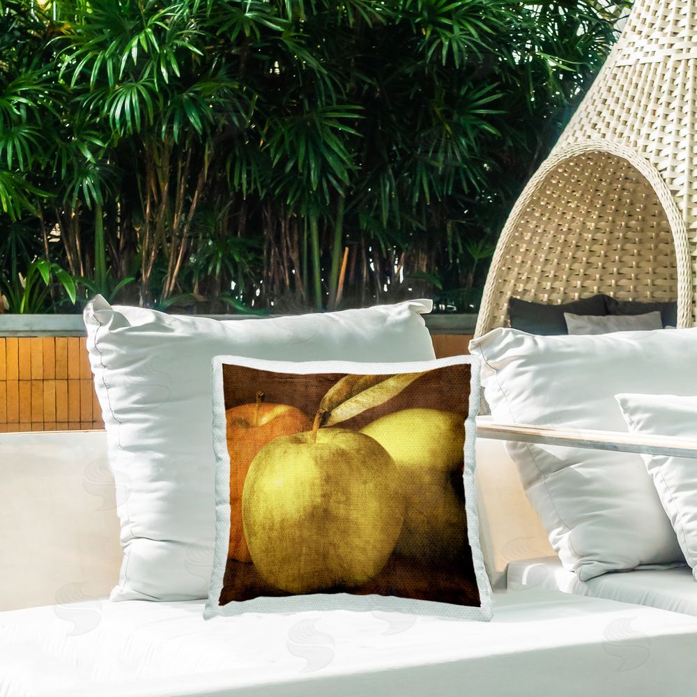 Caroline Kelly Vintage Apples Close Up Outdoor Quick-Dry Polyester Printed Throw Pillow in Back Yard
