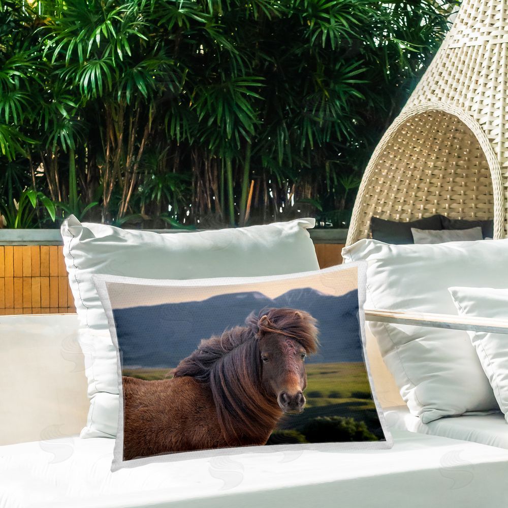 Steve Toole Windblown Mare in Mountain Valley Outdoor Quick-Dry Polyester Printed Throw Pillow in Back Yard