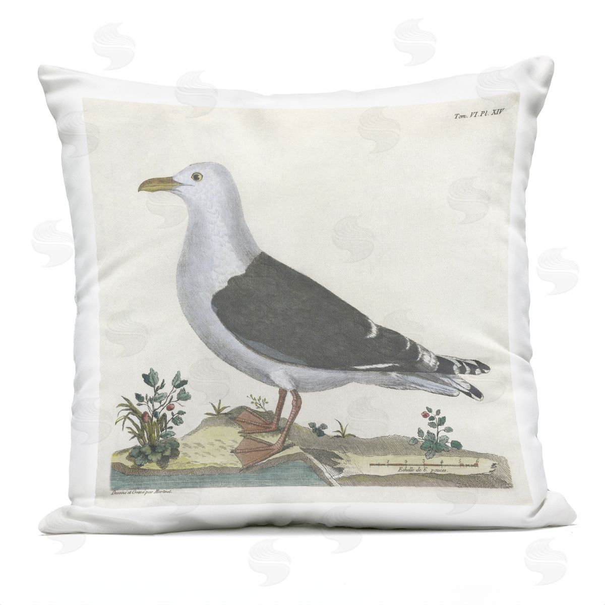 Phillipa Katz Vintage Seagull Study Diagram Outdoor Quick-Dry Polyester Printed Throw Pillow