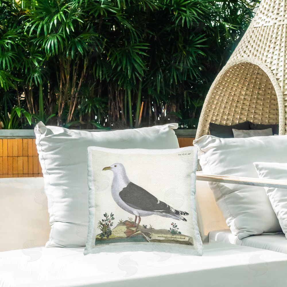 Phillipa Katz Vintage Seagull Study Diagram Outdoor Quick-Dry Polyester Printed Throw Pillow in Back Yard