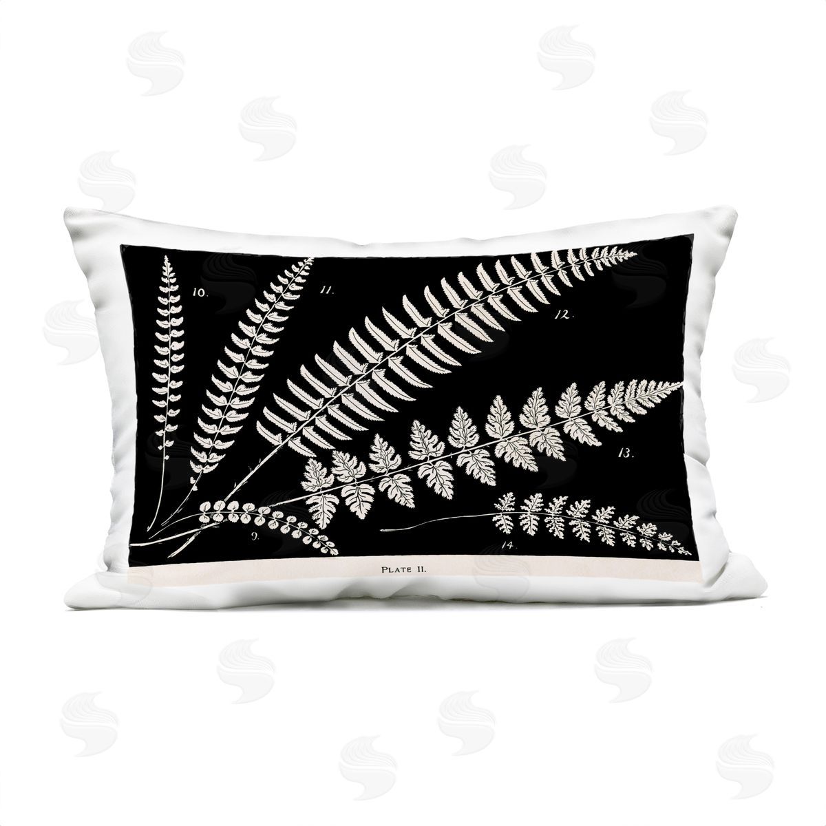Phillipa Katz Fern Studies on Black Plush Polyester Art Print Pillow