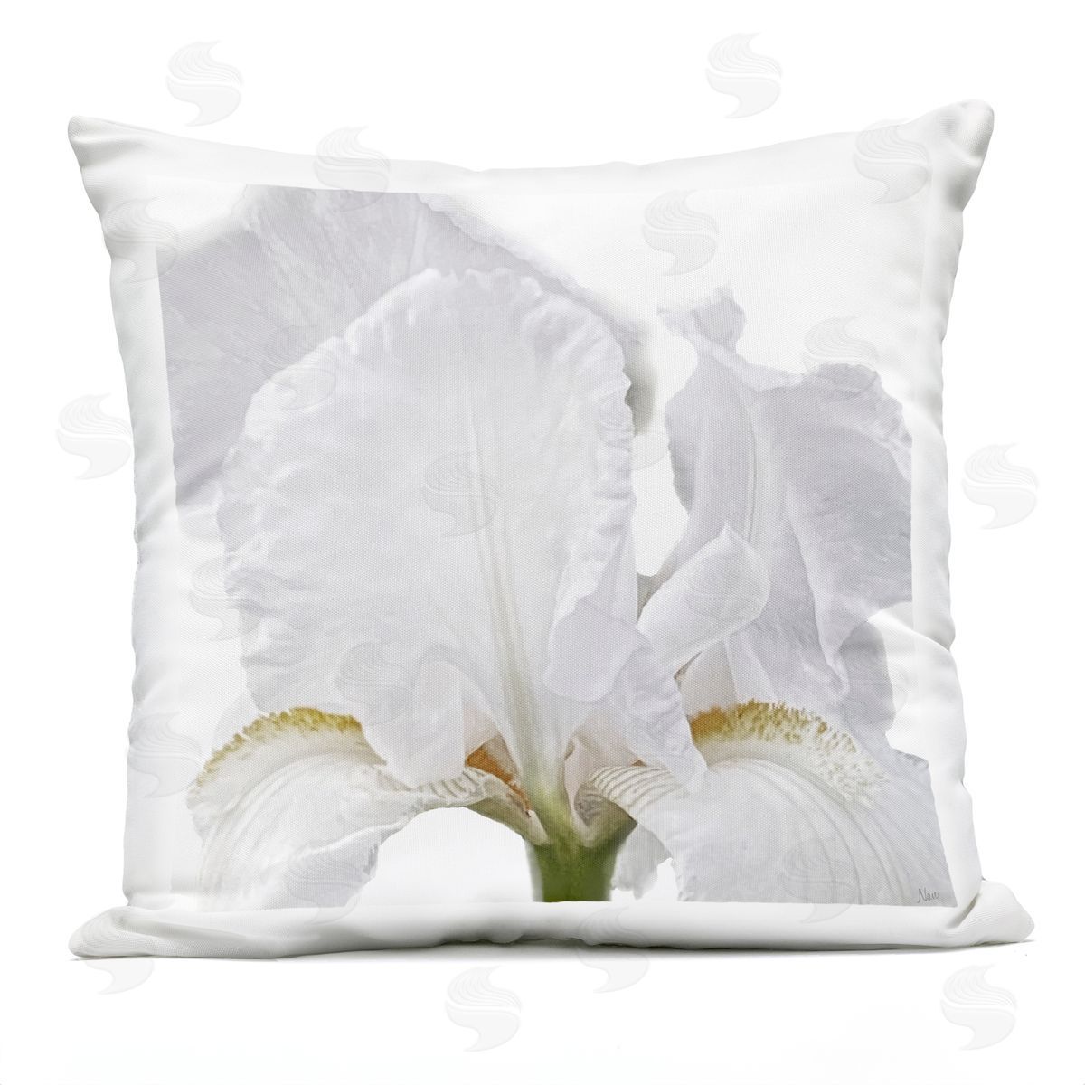 Nan White Iris Close Up Outdoor Quick-Dry Polyester Printed Throw Pillow