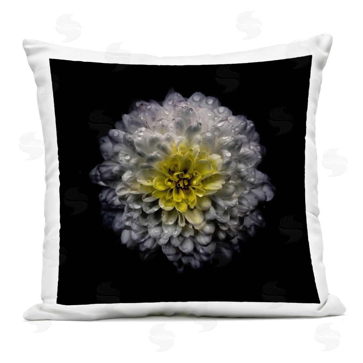 Brian Carson Photography White And Yellow Mum Outdoor Square Printed Throw Pillow