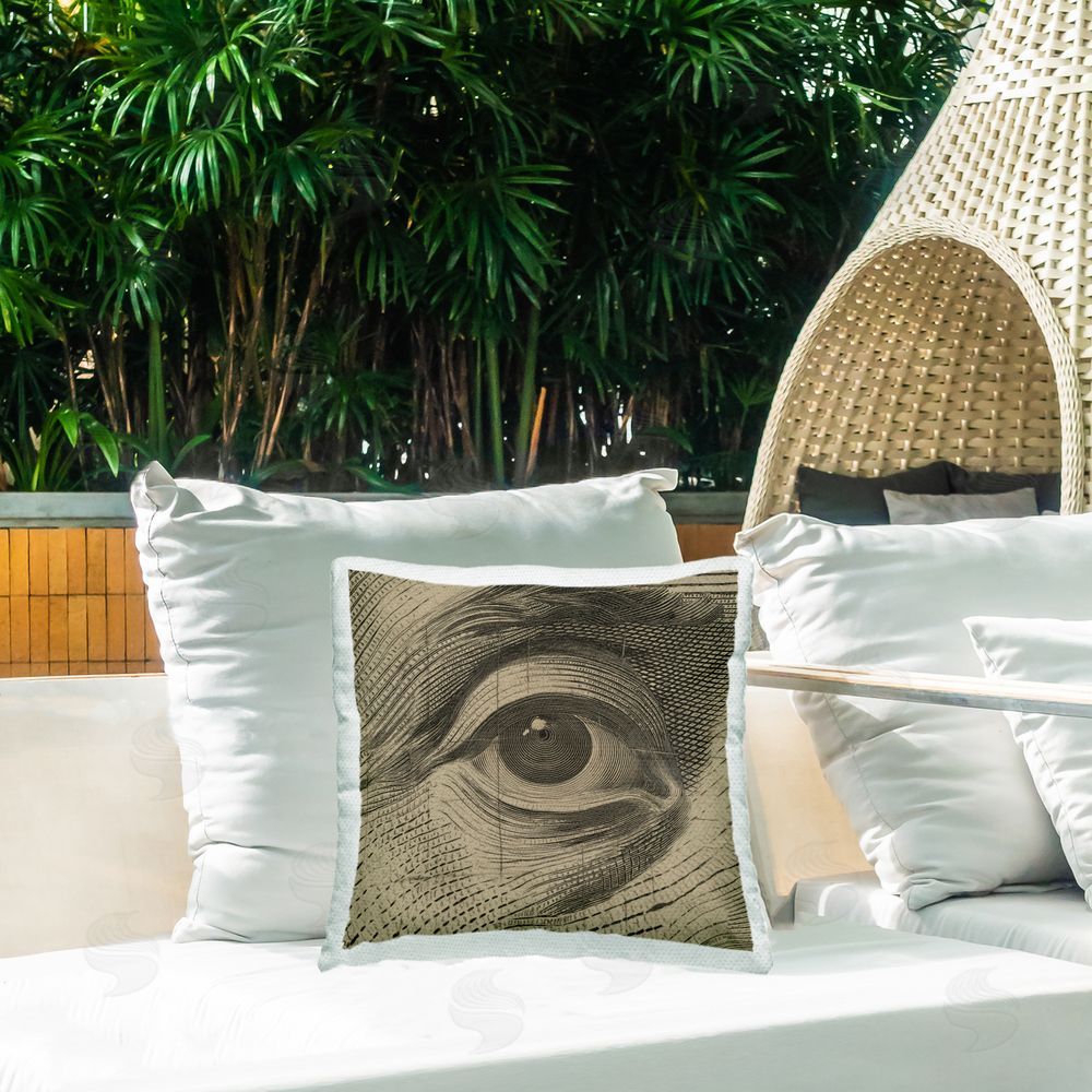 Svetlana Aleynikova Franklin's Gaze Eye Outdoor Printed Throw Pillow on Patio