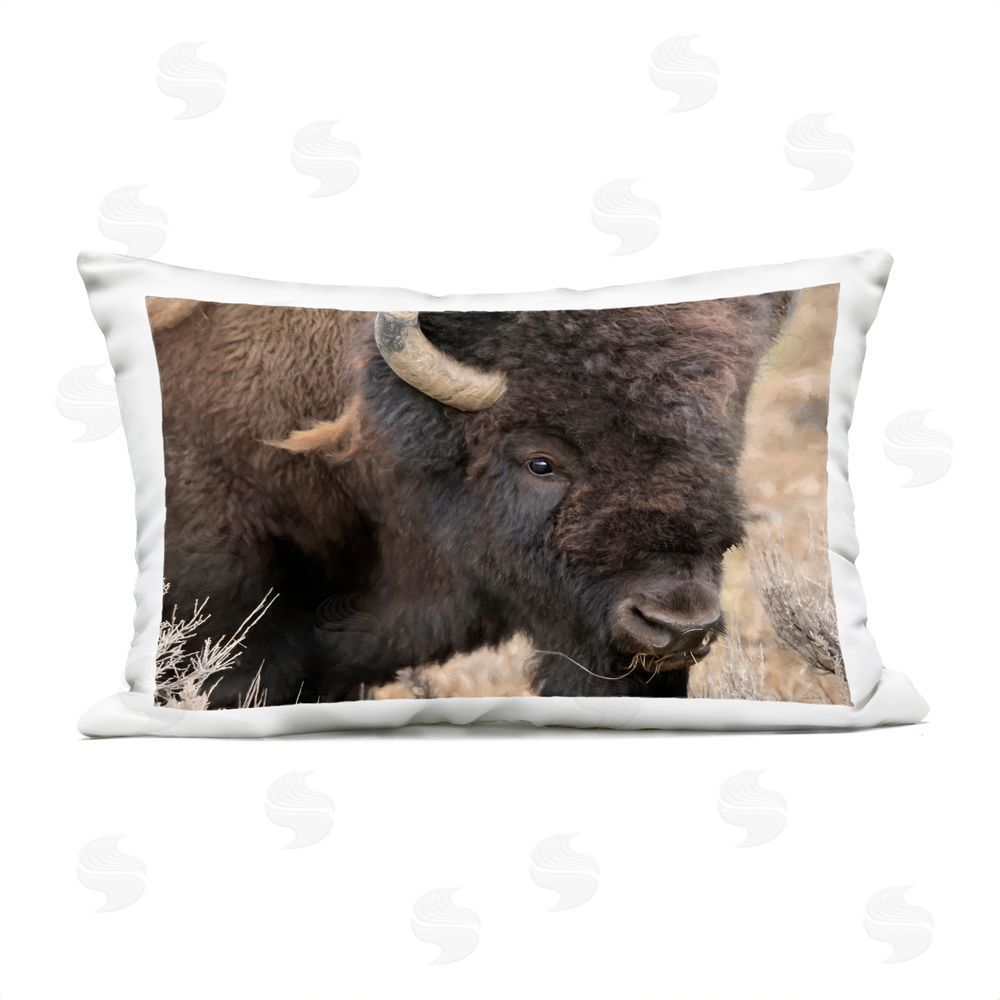 Lori Deiter Spirit Of The Plains Outdoor Quick-Dry Polyester Lumbar Pillow