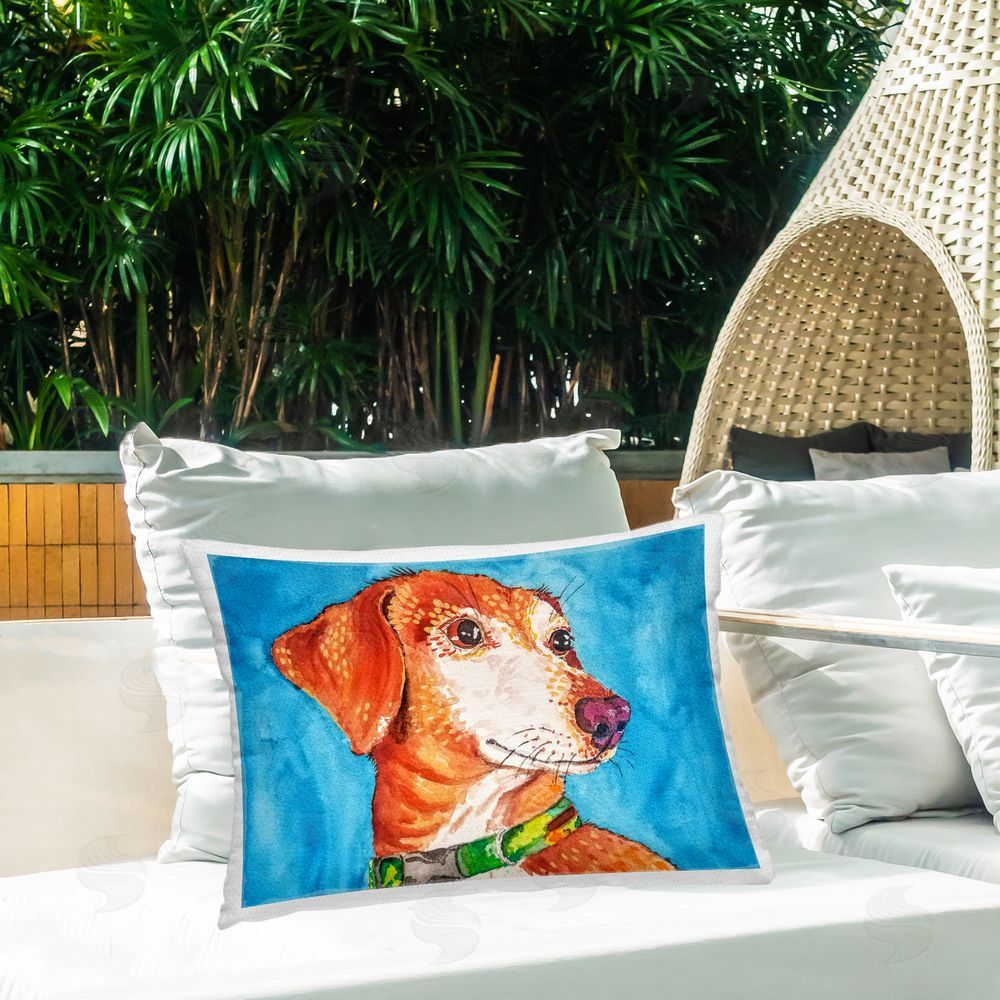 Tatiana Roberts Bold Orange Dog on Blue Outdoor Printed Throw Pillow on Patio