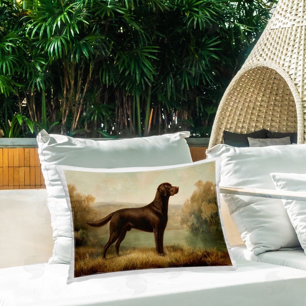 Petal Prints Design Brown Lab By The River Outdoor Printed Lumbar Throw Pillow on Seat