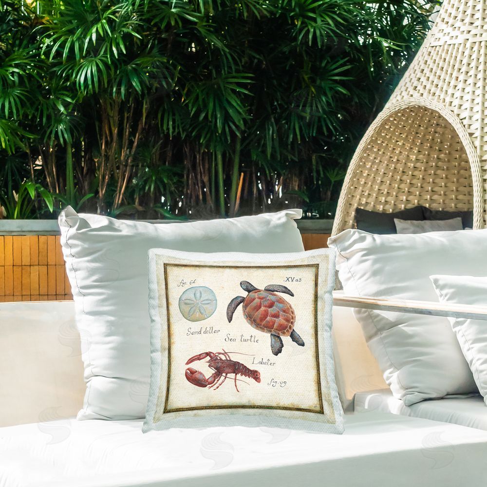 Daphne Brissonnet Oceanography Vintage Turtle Outdoor Quick-Dry Polyester Printed Square Pillow on Patio