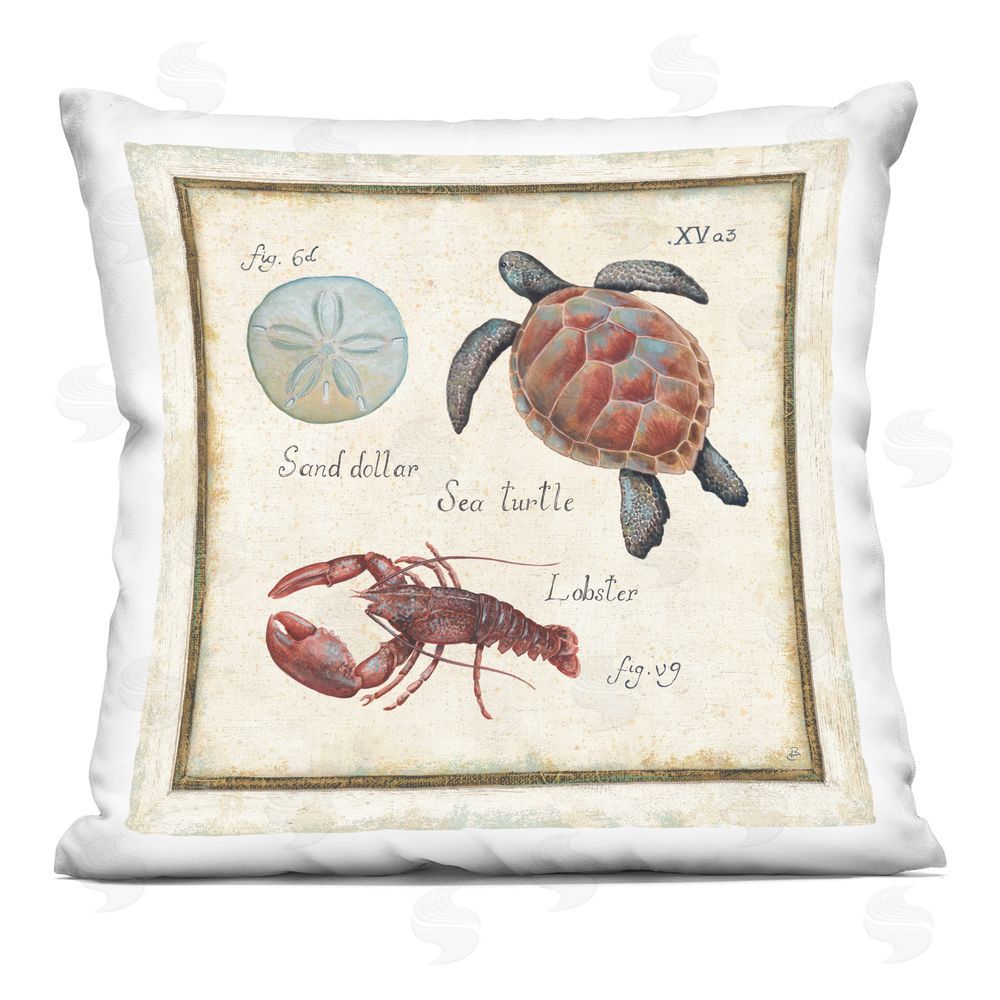 Daphne Brissonnet Oceanography Vintage Turtle Indoor Plush Polyester Square Throw Pillow