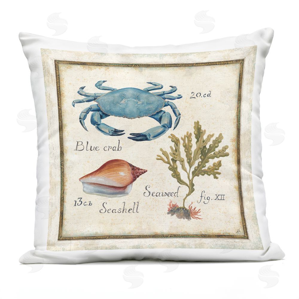 Daphne Brissonnet Oceanography Vintage Crab Outdoor Quick-Dry Polyester Square Throw Pillow