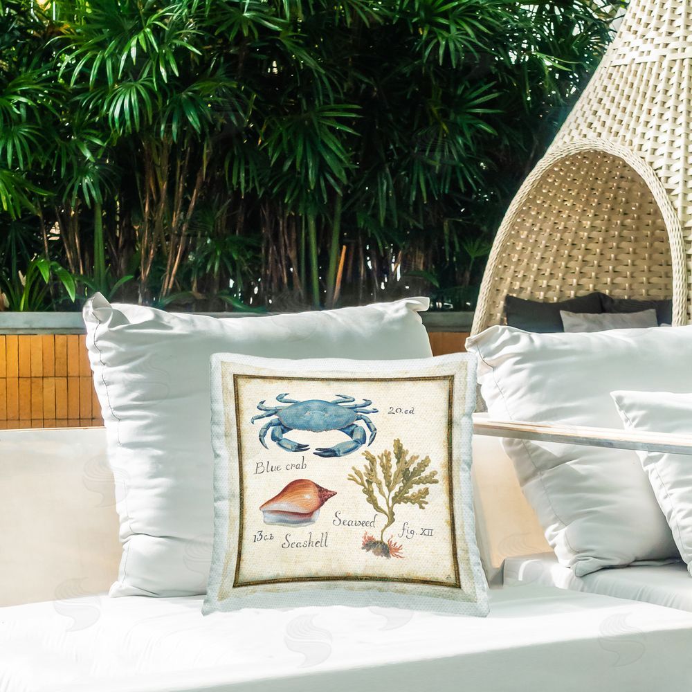 Daphne Brissonnet Oceanography Vintage Crab Outdoor Quick-Dry Polyester Printed Square Pillow on Patio
