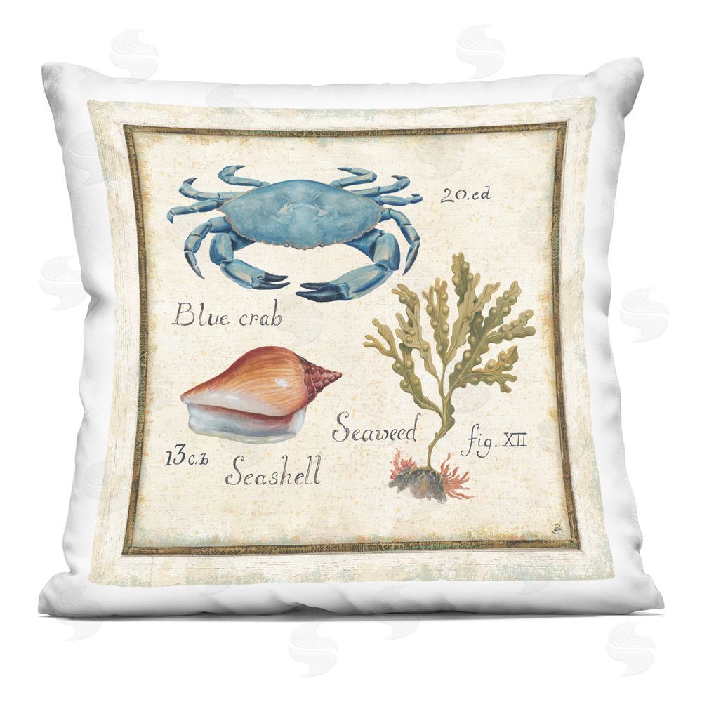 Daphne Brissonnet Oceanography Vintage Crab Indoor Plush Polyester Square Throw Pillow