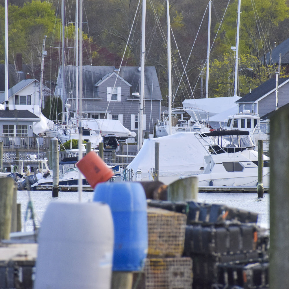 Marina with boats and houses in the background