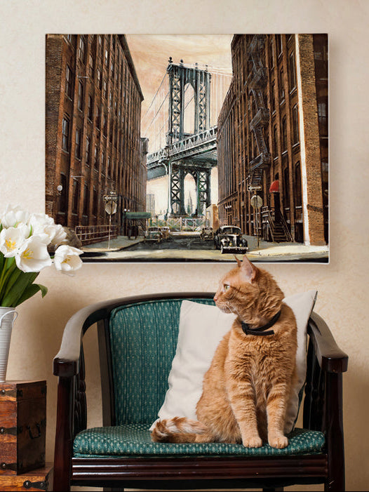 Architecture & Cityscapes