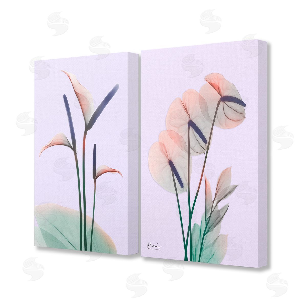Albert Koetsier Neon Reeds Purple Green Flower Design Canvas Wall Art Print