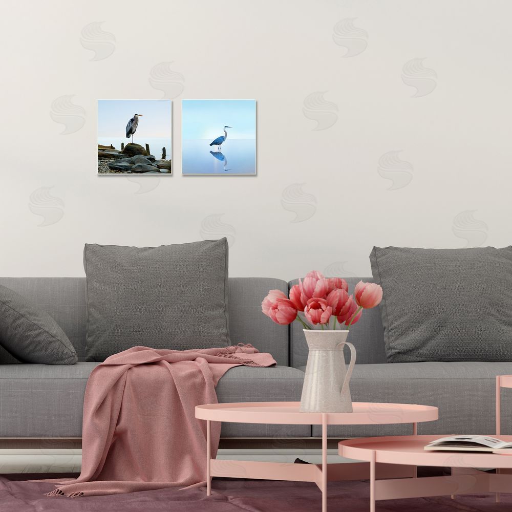 James McLoughlin Beach Heron Ocean Animal Photographs Canvas Wall Art Print in Room