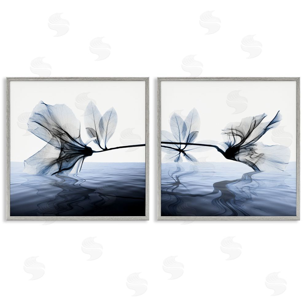 Albert Koetsier Contrast Black & Blue Flower Water Designs Gray Framed Giclee Wall Art Print