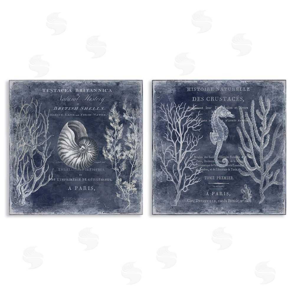 Deborah Devellier Vintage European Shells & Seahorse Canvas Wall Art Print
