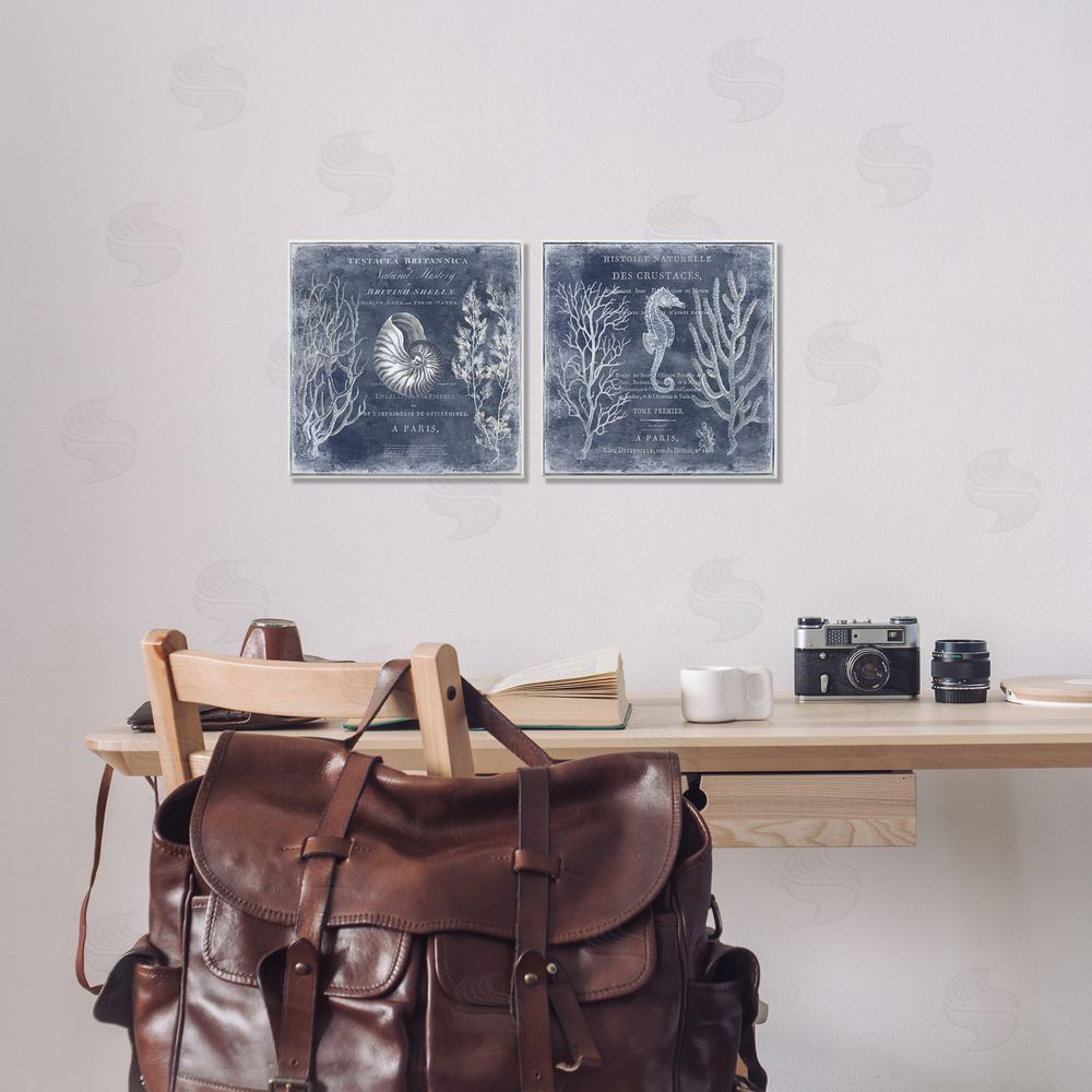 Deborah Devellier Vintage European Shells & Seahorse Canvas Wall Art Print in Room