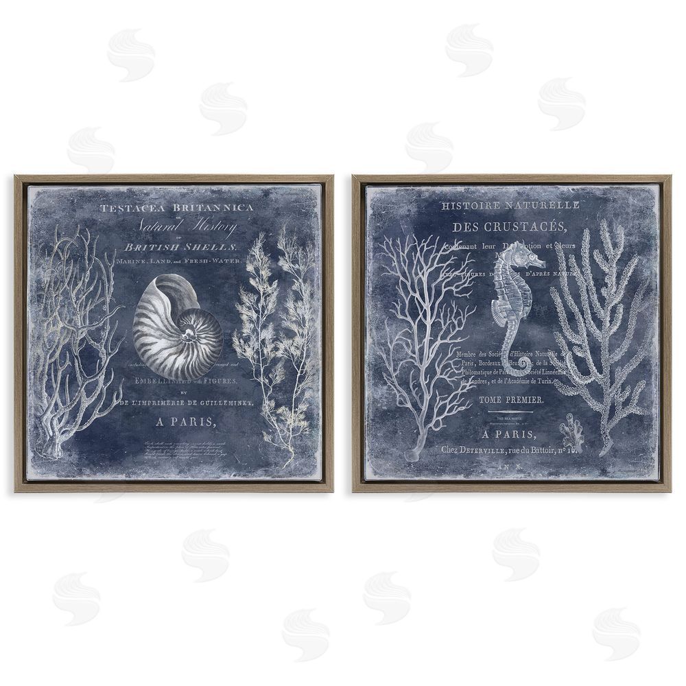 Deborah Devellier Vintage European Shells & Seahorse Brown Floating Frame Canvas Wall Art Print