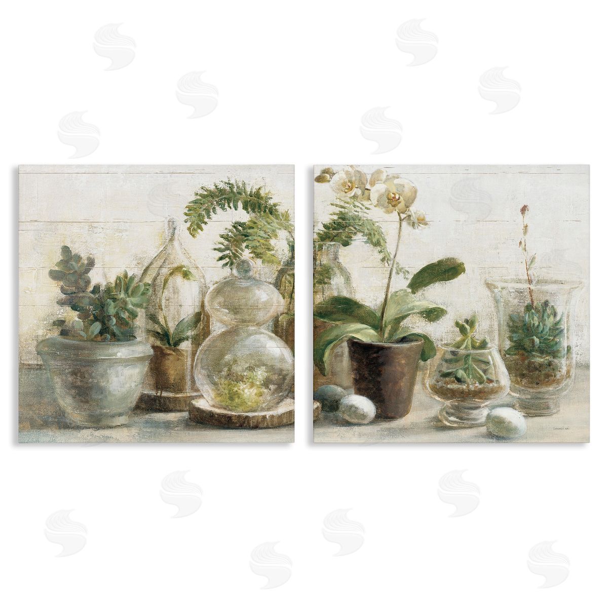 Succulent House Plants Country Charm Canvas Wall Art, Home Decor by Danhui Nai