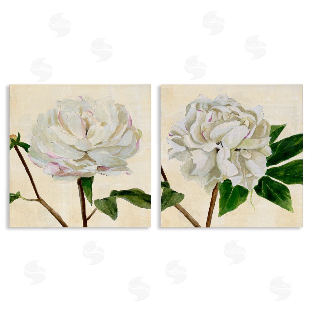 Annie Warren White Peonies with Pink Petal Details Canvas Wall Art Print