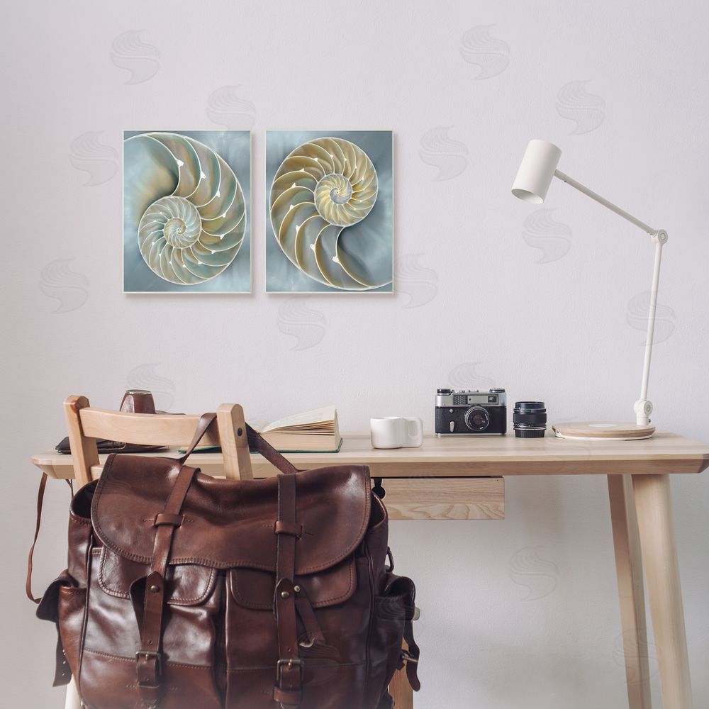 Caroline Kelly Intricate Nautilus Interior Natural Geometric Canvas Wall Art Print in Room