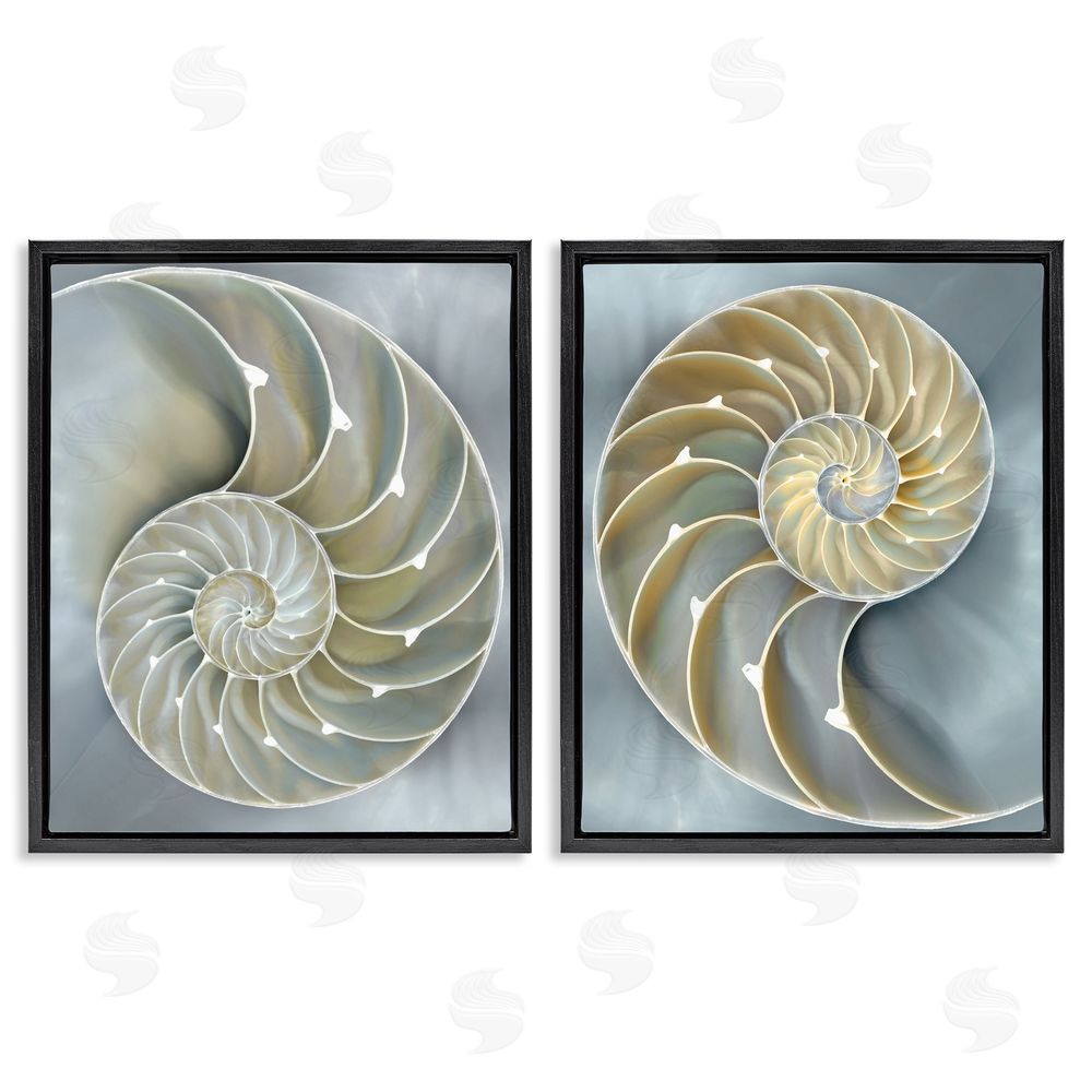 Caroline Kelly Intricate Nautilus Interior Natural Geometric Black Floating Frame Canvas Wall Art Print
