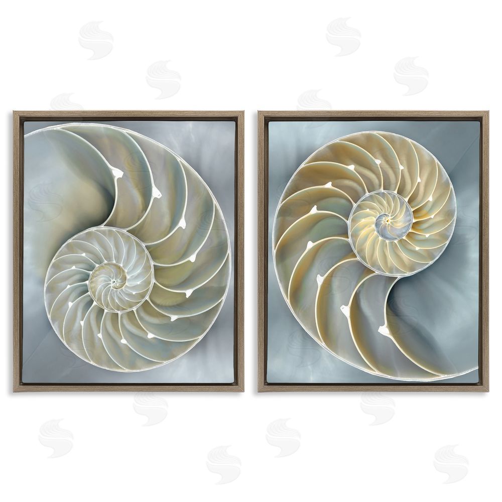 Caroline Kelly Intricate Nautilus Interior Natural Geometric Brown Floating Frame Canvas Wall Art Print