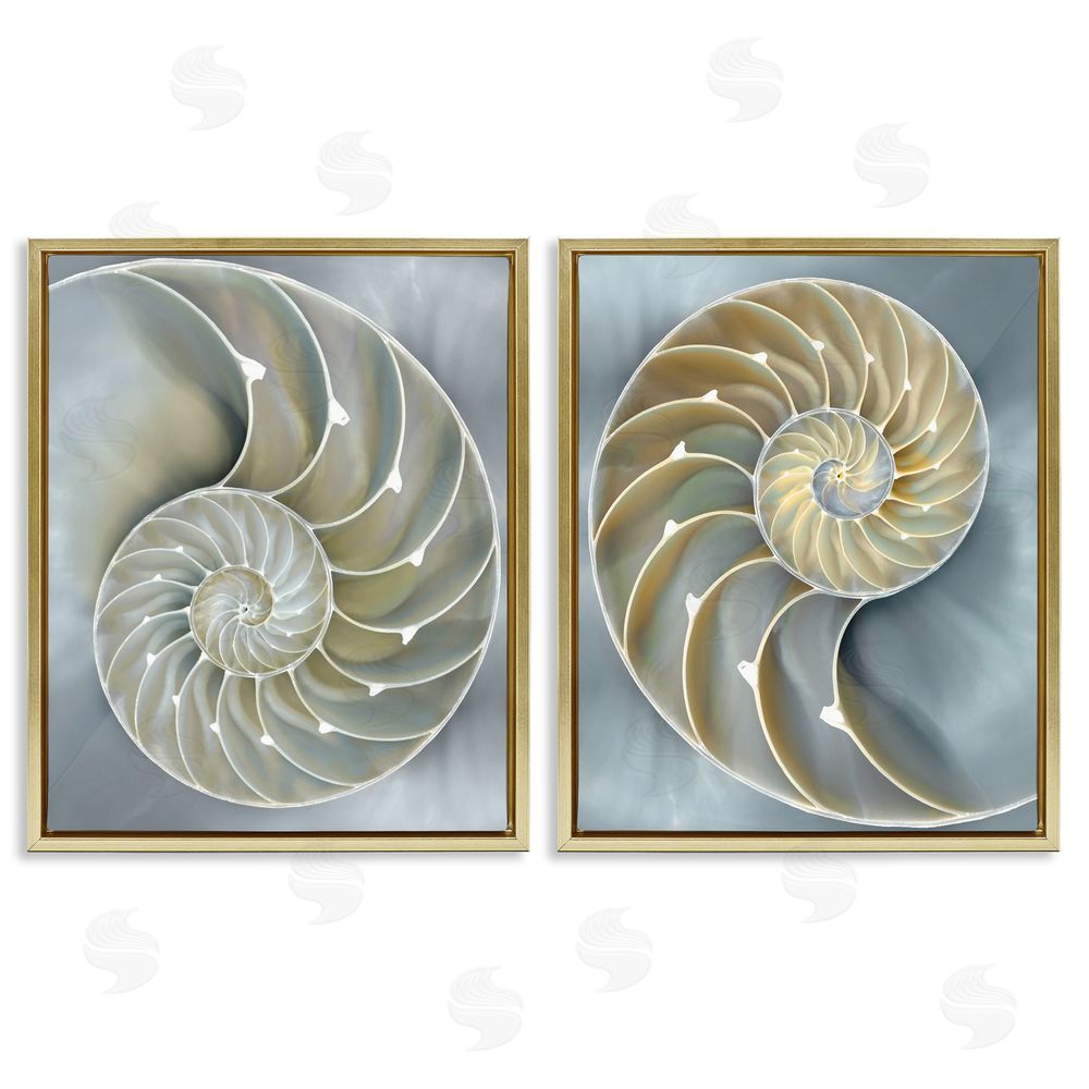 Caroline Kelly Intricate Nautilus Interior Natural Geometric Gold Floating Frame Canvas Wall Art Print