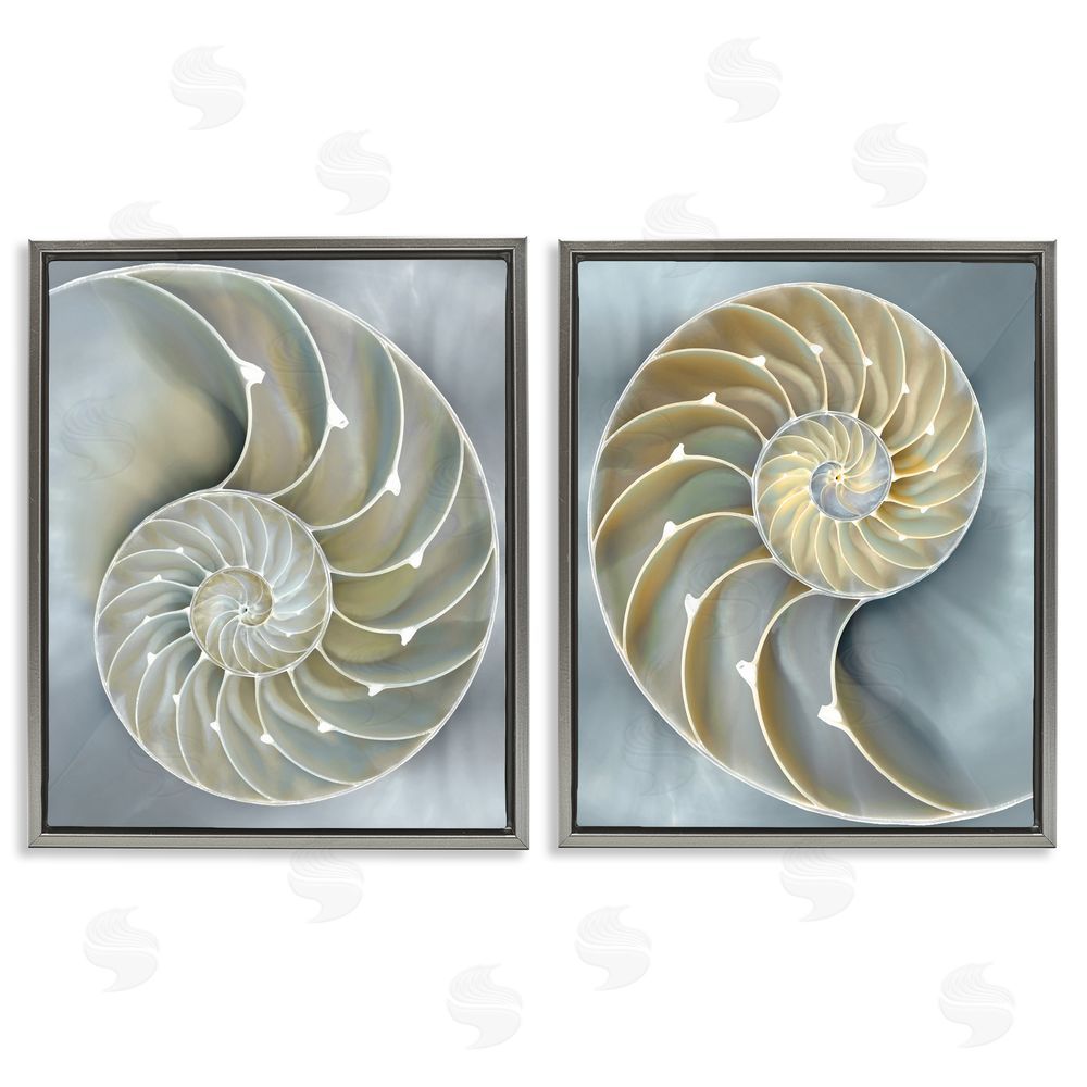 Caroline Kelly Intricate Nautilus Interior Natural Geometric Gray Floating Frame Canvas Wall Art Print