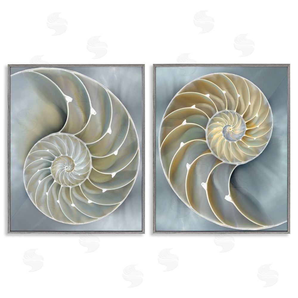 Caroline Kelly Intricate Nautilus Interior Natural Geometric Gray Framed Giclee Wall Art Print