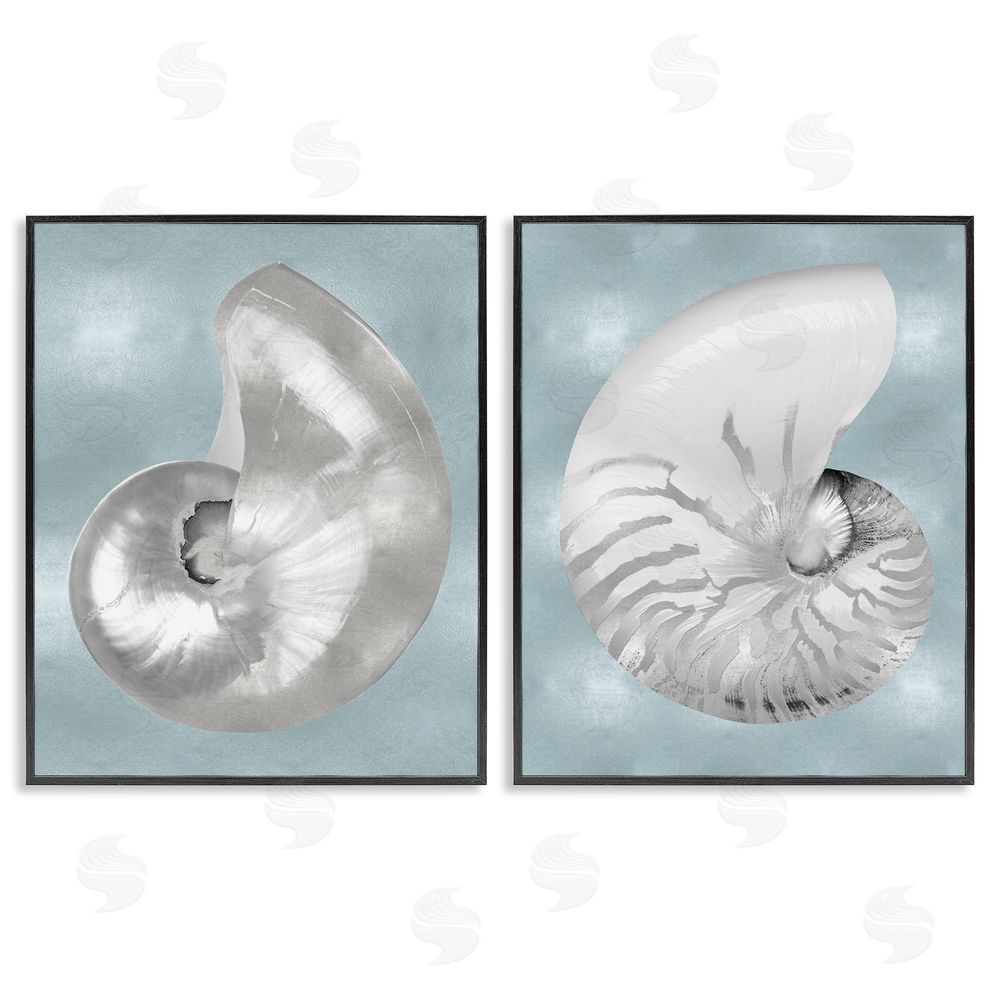 Caroline Kelly Minimal Nautilus Shell Silver Glam Black Framed Giclee Wall Art Print