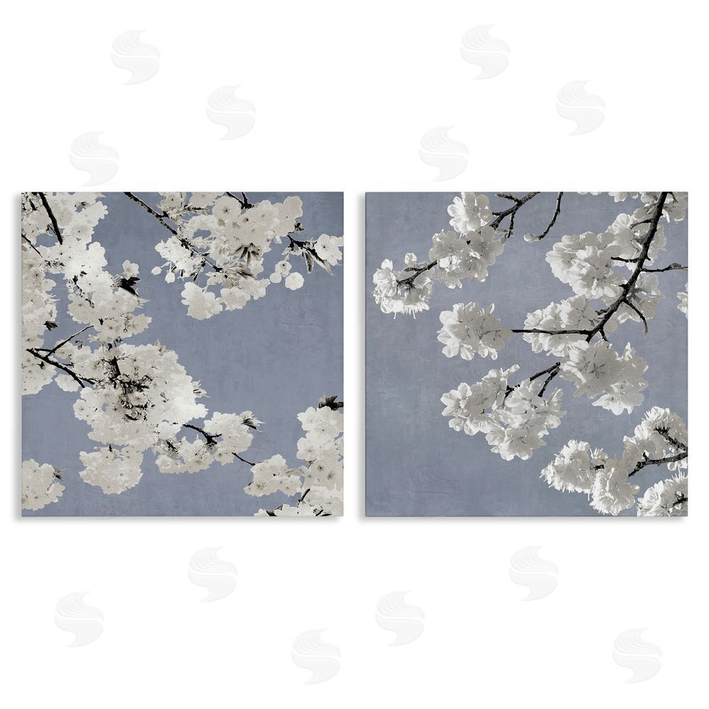 Kate Bennett White Cherry Blossom Tree Branches Canvas Wall Art Print