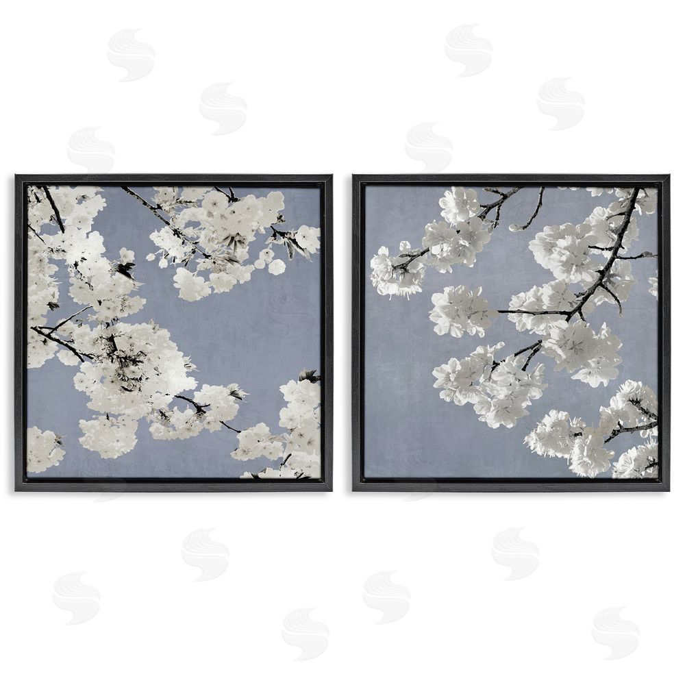 Kate Bennett White Cherry Blossom Tree Branches Black Floating Frame Canvas Wall Art Print