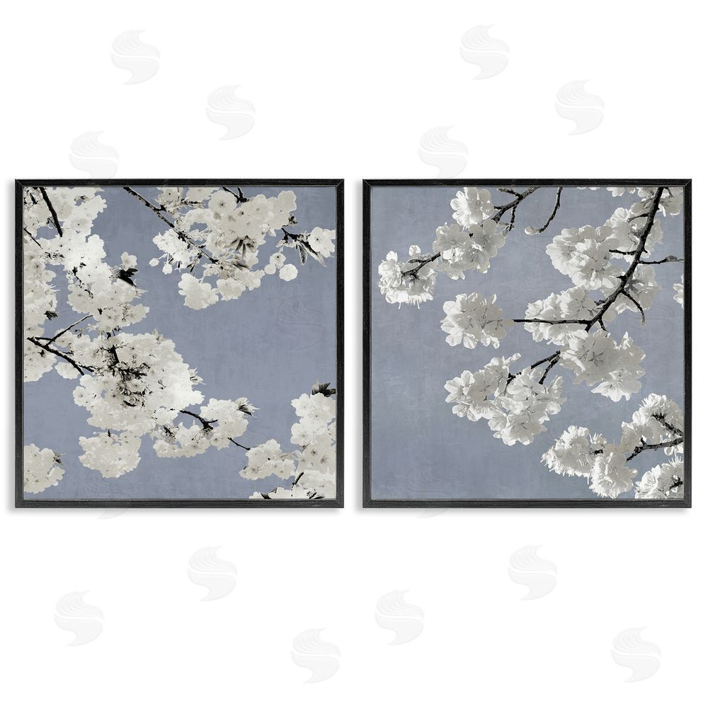 Kate Bennett White Cherry Blossom Tree Branches Black Framed Giclee Wall Art Print