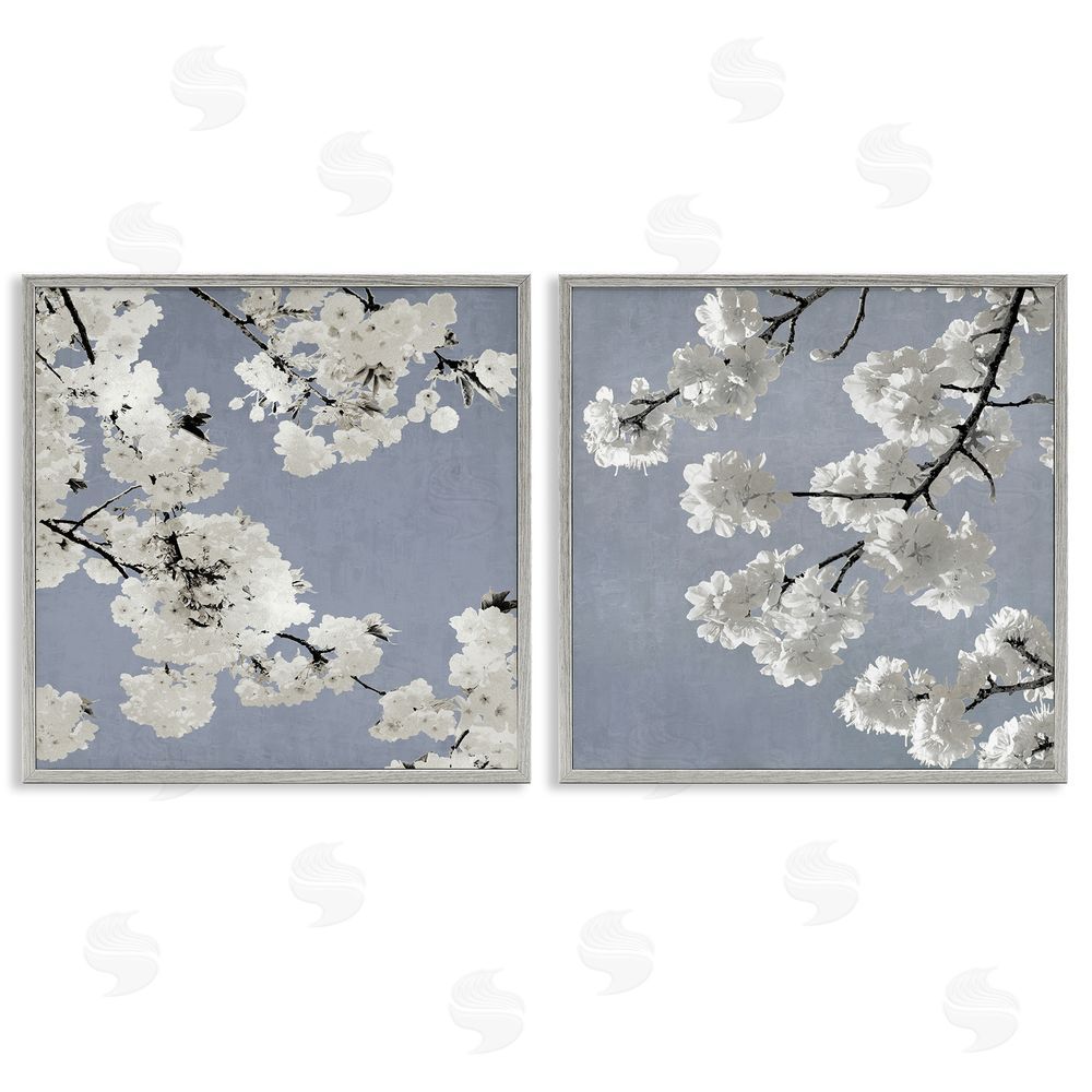 Kate Bennett White Cherry Blossom Tree Branches Gray Framed Giclee Wall Art Print