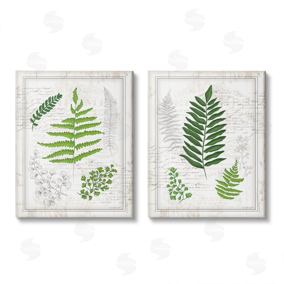 Jennifer Pugh Antique Fern Study with Script Forest Greenery Canvas Wall Art Print