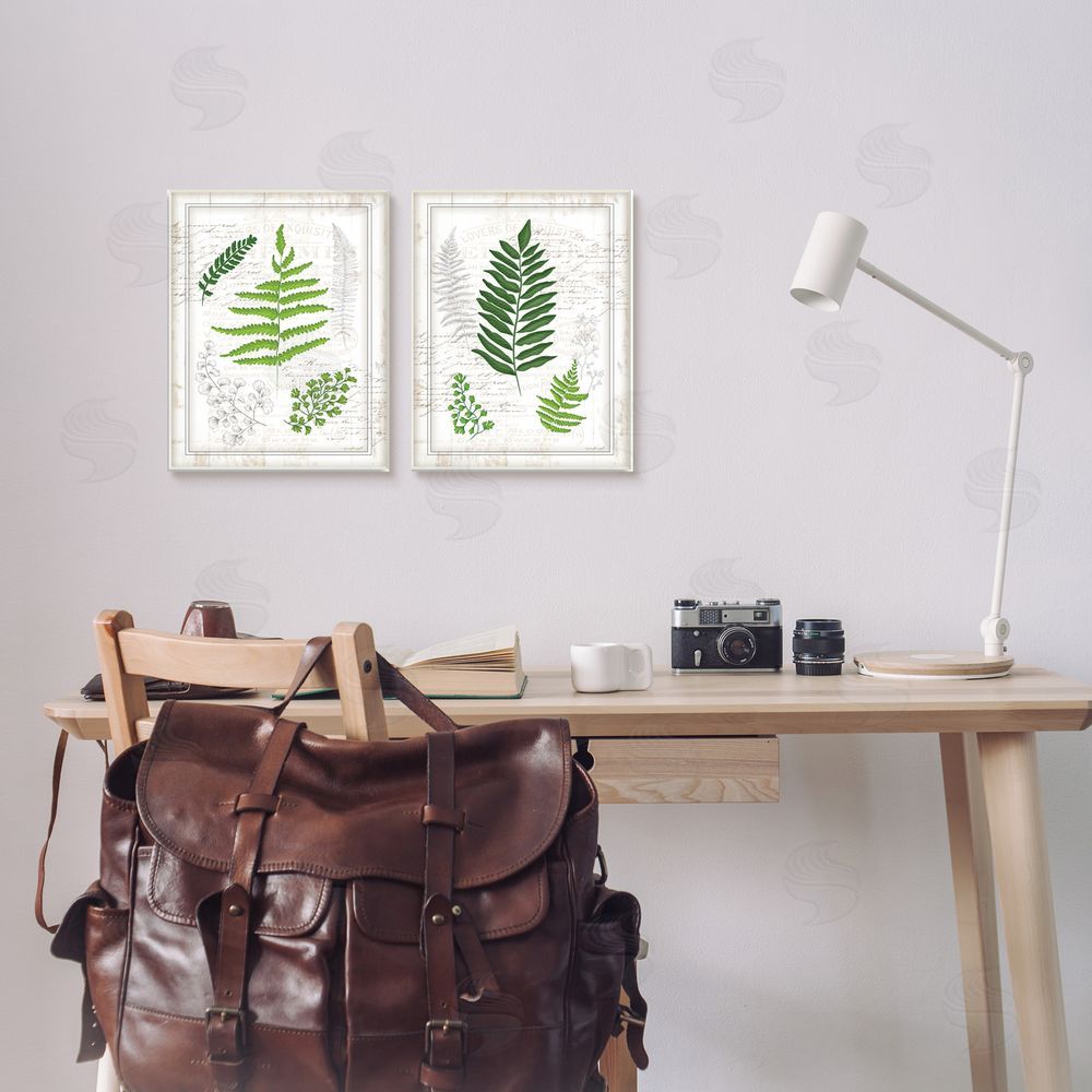 Jennifer Pugh Antique Fern Study with Script Forest Greenery Canvas Wall Art Print in Room