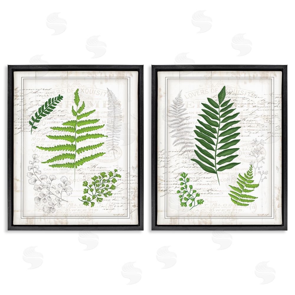 Jennifer Pugh Antique Fern Study with Script Forest Greenery Black Floating Frame Canvas Wall Art Print