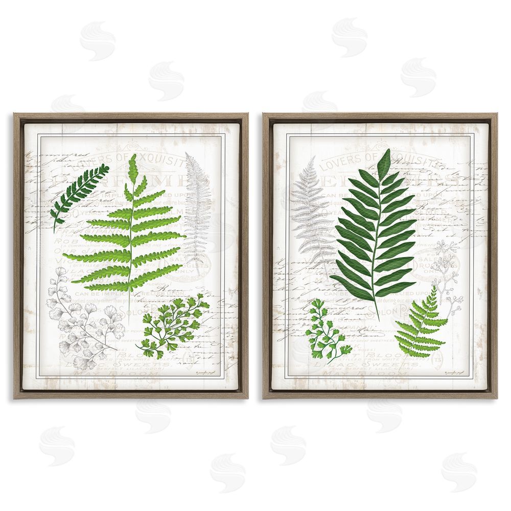Jennifer Pugh Antique Fern Study with Script Forest Greenery Brown Floating Frame Canvas Wall Art Print