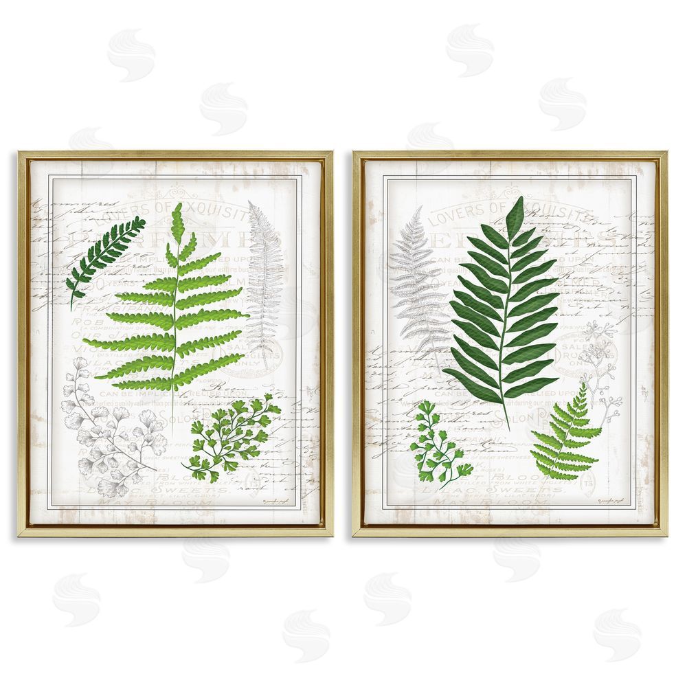 Jennifer Pugh Antique Fern Study with Script Forest Greenery Gold Floating Frame Canvas Wall Art Print