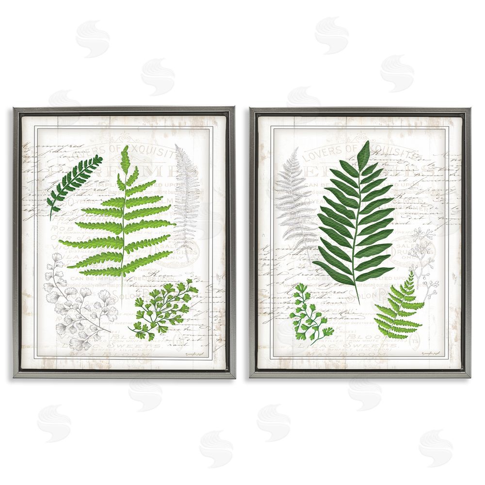Jennifer Pugh Antique Fern Study with Script Forest Greenery Gray Floating Frame Canvas Wall Art Print