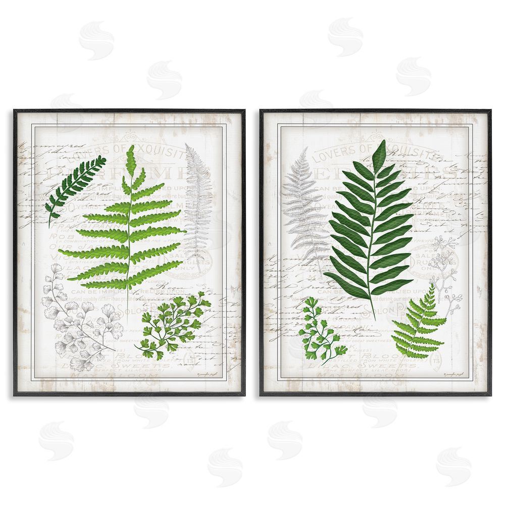 Jennifer Pugh Antique Fern Study with Script Forest Greenery Black Framed Giclee Wall Art Print