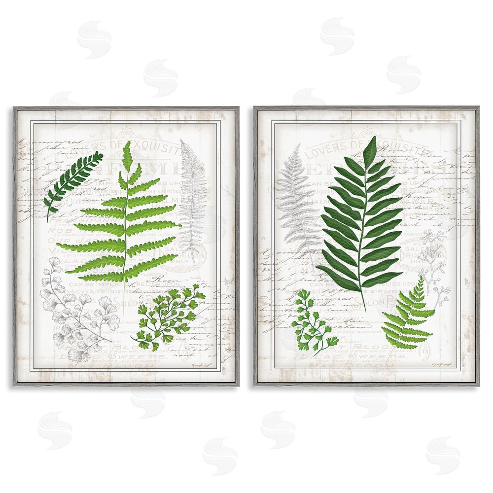 Jennifer Pugh Antique Fern Study with Script Forest Greenery Gray Framed Giclee Wall Art Print