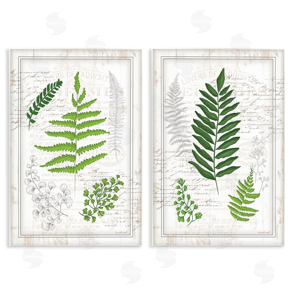 Jennifer Pugh Antique Fern Study with Script Forest Greenery Wooden Wall Plaque Art Print