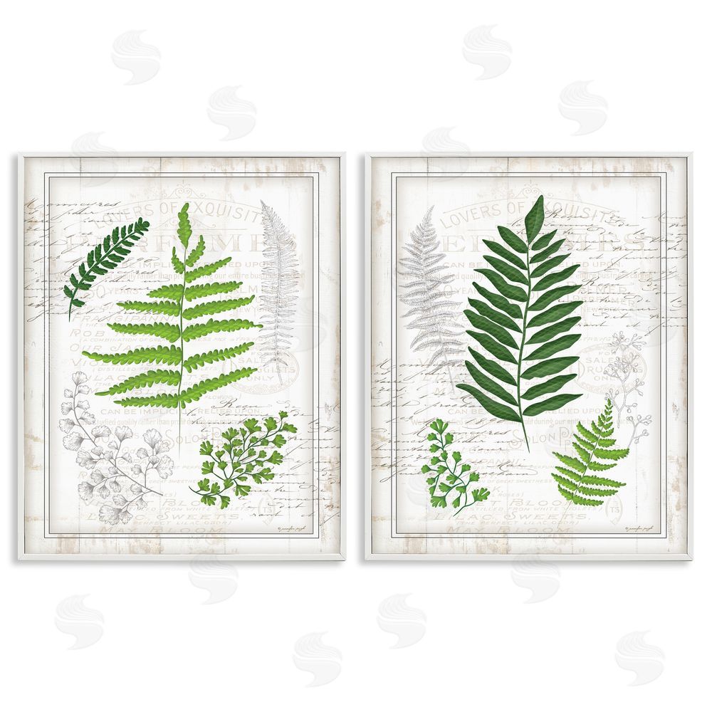 Jennifer Pugh Antique Fern Study with Script Forest Greenery White Framed Giclee Wall Art Print