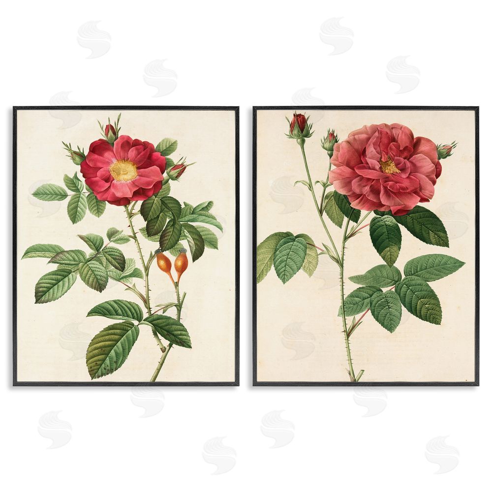 Ziwei Li Traditional Red Flowers with Floral Stem Black Framed Giclee Wall Art Print