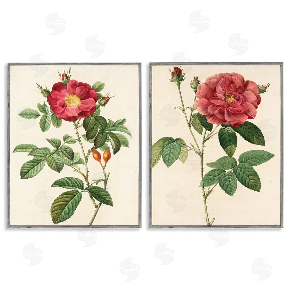 Ziwei Li Traditional Red Flowers with Floral Stem Gray Framed Giclee Wall Art Print